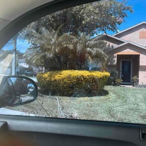 Bush Trimming by Hughey&#039;s Landscaping and Snow Removal LLC reviewed on November 18, 2025