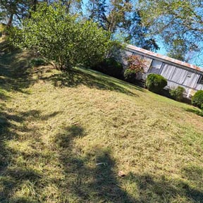 Flower Bed Weeding by O.R Landscaping reviewed on October 18, 2025