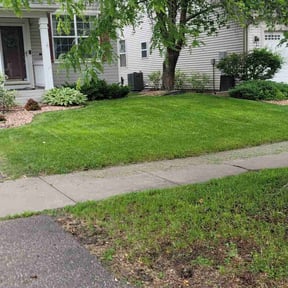 yard work by D &amp; C lawn care reviewed on October 19, 2025