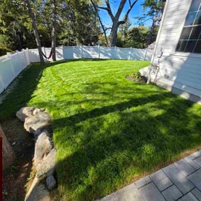 grass cutting by John's lawn care reviewed on June 3, 2022