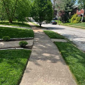 yard work by Beautamous Landscaping reviewed on May 8, 2024
