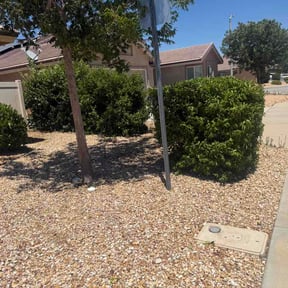 Bush Trimming by B&amp;T Elite Lawncare reviewed on June 30, 2026