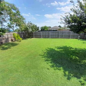 yard care by Ledesma landscape reviewed on November 24, 2025