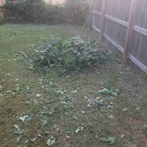 Bush Trimming by DLS Lawn Service reviewed on July 30, 2026