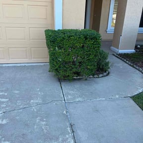 Bush Trimming by Discount Mowing reviewed on November 8, 2025