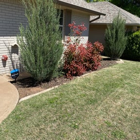 Bush Trimming by Hugheslandscaping reviewed on August 5, 2025