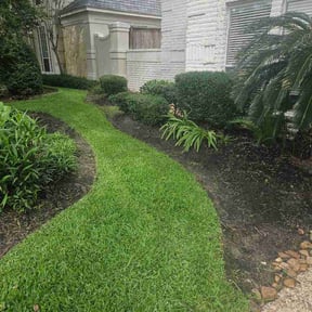 Bush Trimming by SD LAWNS reviewed on June 6, 2026