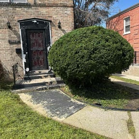 Bush Trimming by Guy for that reviewed on November 22, 2025