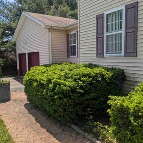 Bush Trimming by Herrera Lawn Maintenance reviewed on August 21, 2025