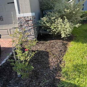 Flower Bed Weeding by Franks all care reviewed on July 23, 2026