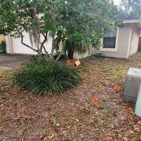 Leaf Removal by Prosperity Lawn Care reviewed on March 31, 2026