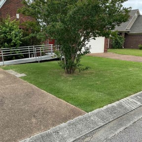 yard maintenance by Lofty Lawn Care reviewed on August 16, 2025