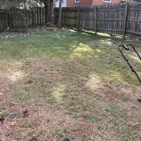 Leaf Removal by Adept Landscaping &amp; Snow Removal LLC reviewed on September 14, 2025