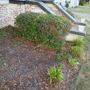 Bush Trimming by Victoria Landscaping, LLc reviewed on April 30, 2026