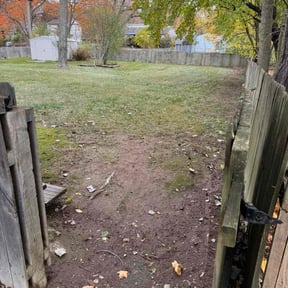 Leaf Removal by Mow Trim Lawn Services reviewed on November 23, 2025