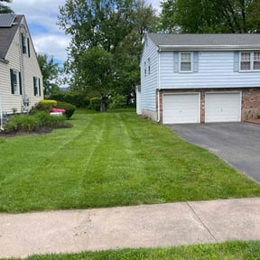 yard maintenance by Lilly’s mowing services reviewed on August 16, 2025