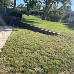 Leaf Removal by Community Lawn and Services LLC reviewed on September 14, 2025
