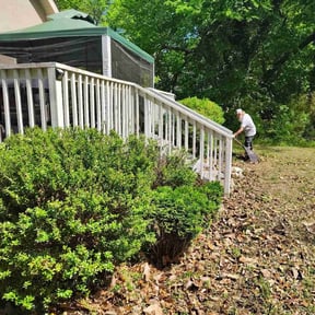 Bush Trimming by Cream of the Cut Lawn Care reviewed on August 18, 2025