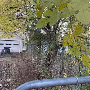 Bush Trimming by landscape and more reviewed on December 8, 2025