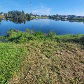 Bush Trimming by Ruben's Landscaping reviewed on October 24, 2025