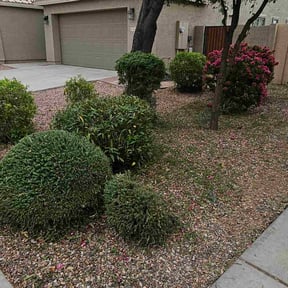 Bush Trimming by Familia landscaping reviewed on November 20, 2025