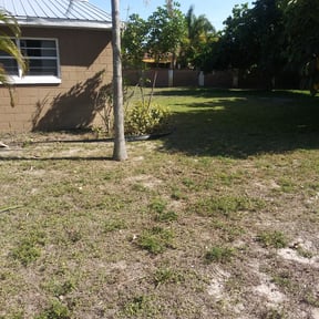 Bush Trimming by GR United lawn care llc reviewed on August 14, 2025