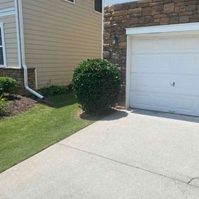 Bush Trimming by On-The-Job Property Services reviewed on May 19, 2026