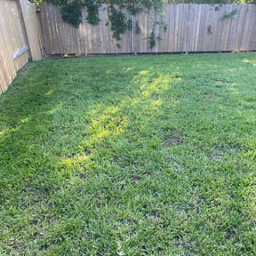 yard maintenance by Clear cut lawn and landscape reviewed on August 15, 2025