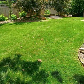 turf care by Midwest Ecoscapes reviewed on August 20, 2025