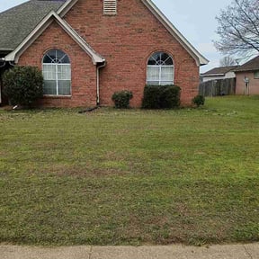 Bush Trimming by Bax’s Lawncare LLC reviewed on March 29, 2026