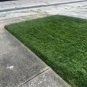 lawn service by AB landscaping reviewed on July 13, 2025