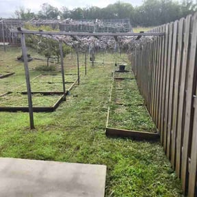 Flower Bed Weeding by C&amp; C's lawn service reviewed on July 21, 2026