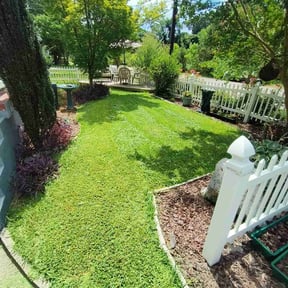 turf care by Troy&#039;s Lawn Care reviewed on August 18, 2025