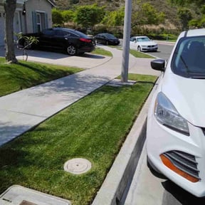 yard service by Pro Landscaping llc reviewed on September 25, 2025