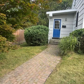 Bush Trimming by Black-out lawn reviewed on October 24, 2025