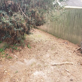 Leaf Removal by Majestic Cuts reviewed on September 17, 2025