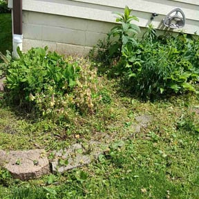 Flower Bed Weeding by Al sahara LLC reviewed on May 20, 2026
