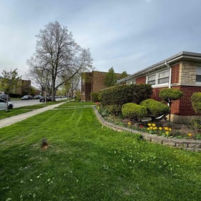yard work by Virgil lawn service reviewed on August 15, 2025