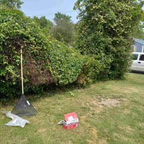 Bush Trimming by 3GUYSLAWNCARE reviewed on August 19, 2025