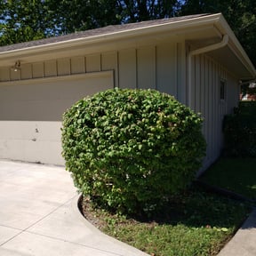 Bush Trimming by Earl Lees Lawnscaping reviewed on April 27, 2024