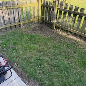 Leaf Removal by P&amp;P Express reviewed on May 25, 2026