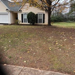 Bush Trimming by Danny’s Lawn Service reviewed on August 15, 2025