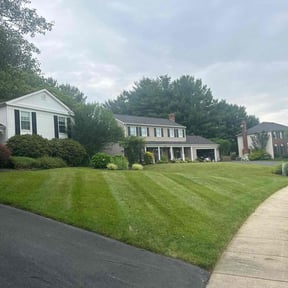 landscaping services by Trim De Busche reviewed on April 28, 2024