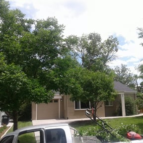 Bush Trimming by Affordable Lawn Care reviewed on November 19, 2025