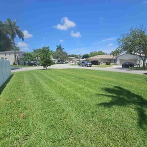 yard care by Parker Landscape & Maintenance reviewed on August 20, 2025