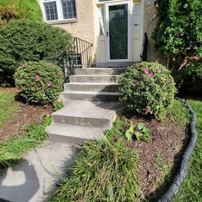 Bush Trimming by Precision Landscaping & more reviewed on August 18, 2025