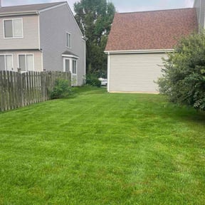 Cleanups by Jose Landscaping reviewed on December 3, 2025