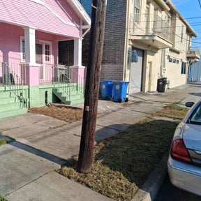 Flower Bed Weeding by Above &amp; Beyond LLC reviewed on October 21, 2025