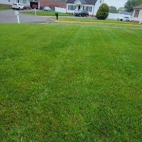 yard maintenance by A+ Services Home & Lawn LLC reviewed on August 16, 2025