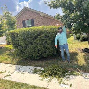 Bush Trimming by Carter&Sons reviewed on August 21, 2025